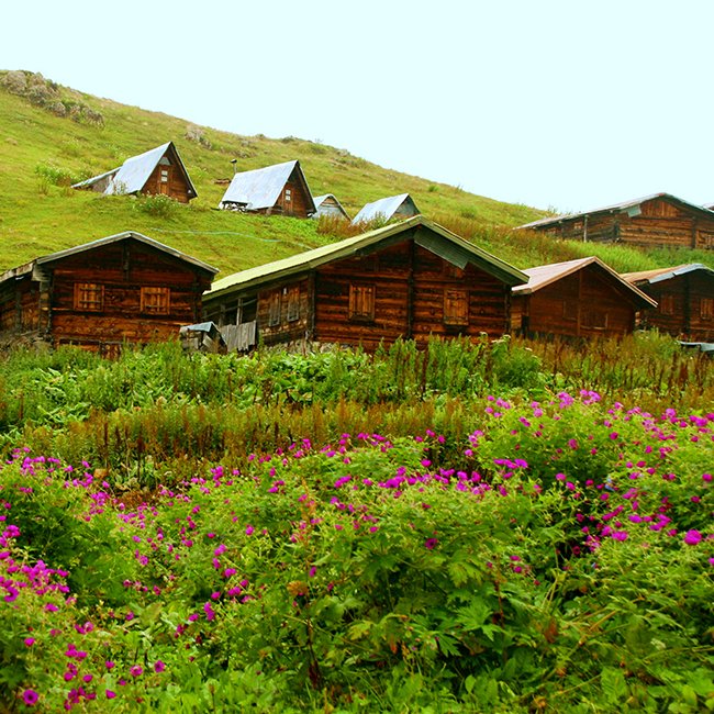 Pokut & Sal Yaylası